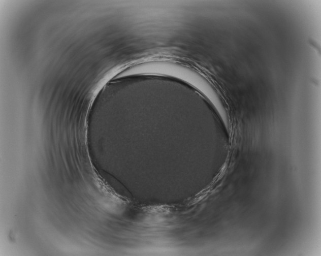 X0000099520100200805151535
