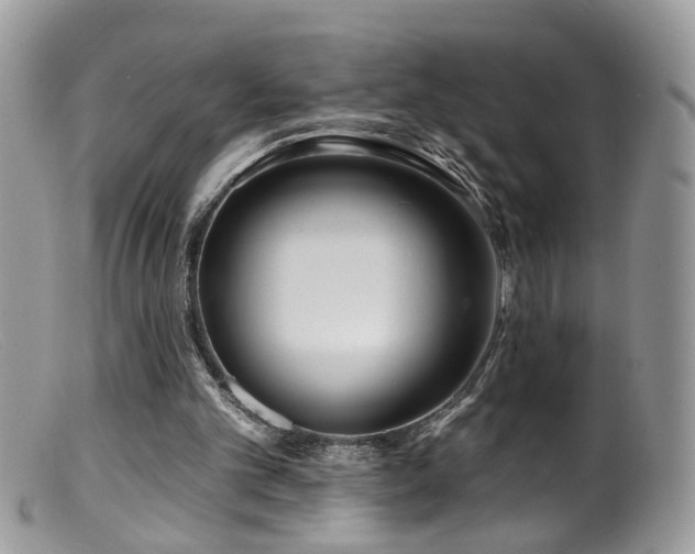 X0000099520101200805151535