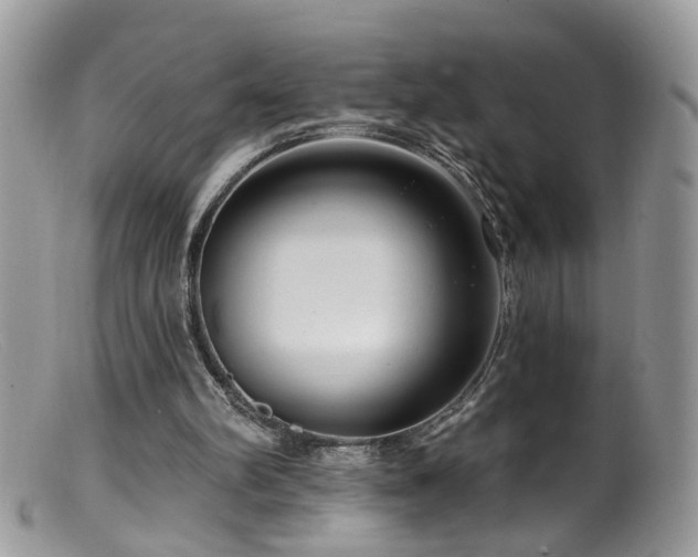 X0000099520102200805151535