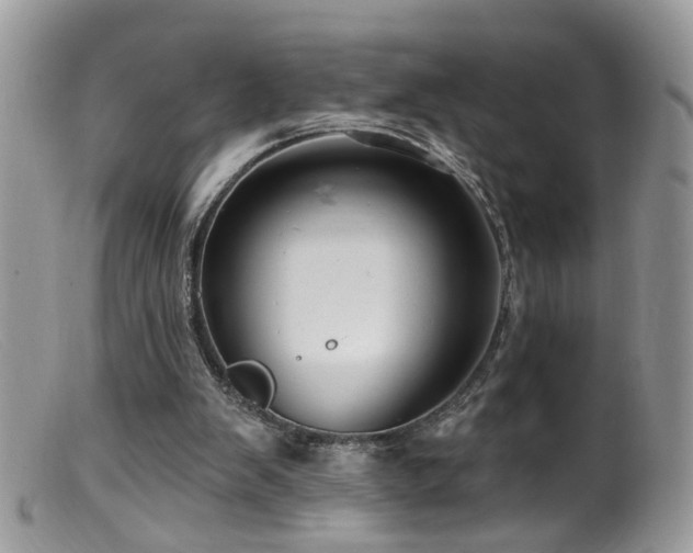 X0000099520103200805151535