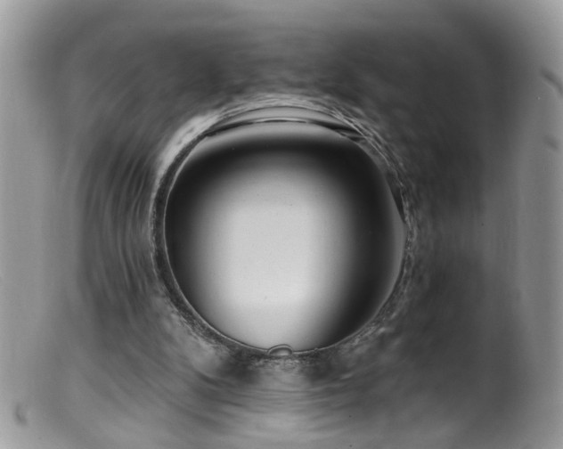 X0000099520104200805151535