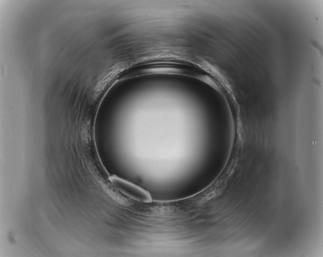 X0000099520105200805151535