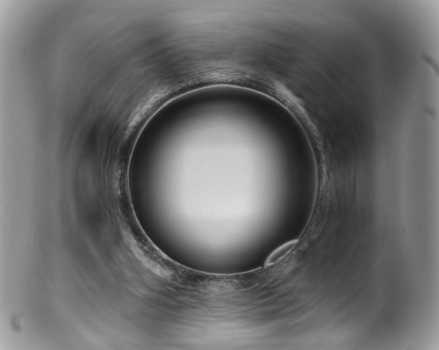 X0000099520106200805151535