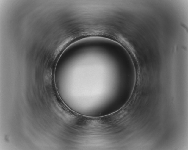 X0000099520107200805151535
