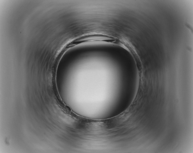 X0000099520108200805151535