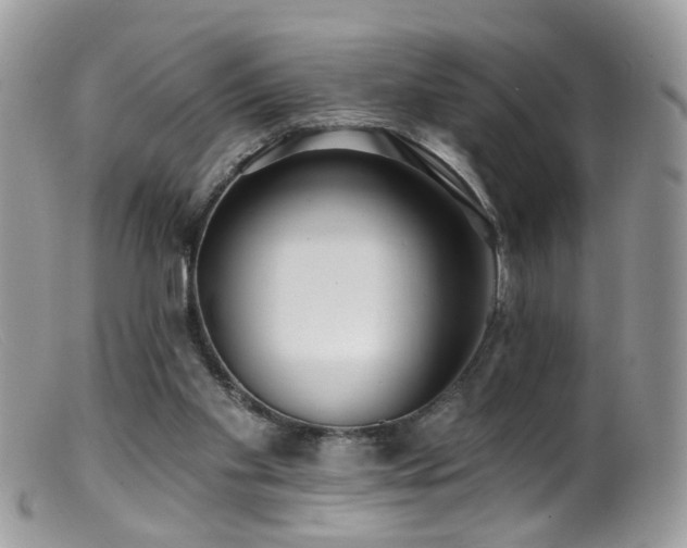 X0000099520109200805151535