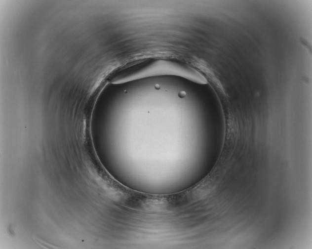 X0000099520110200805151535