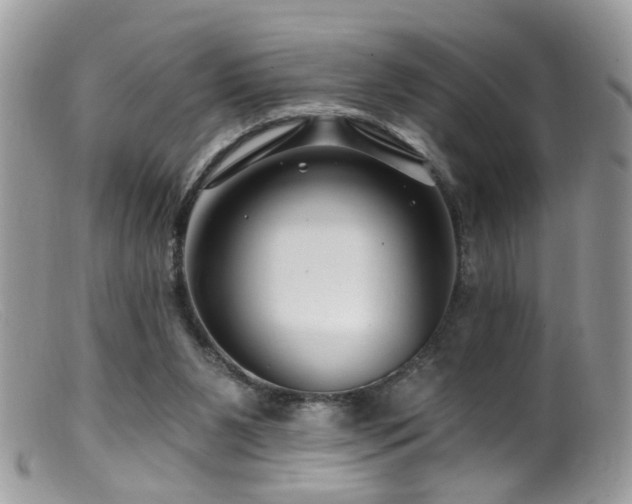 X0000099520111200805151535
