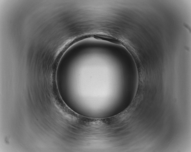 X0000099520112200805151535