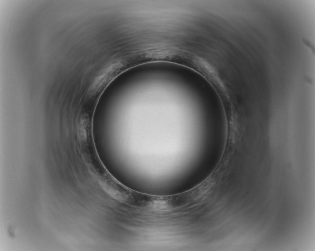 X0000099520114200805151535