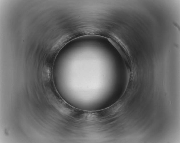 X0000099520117200805151535