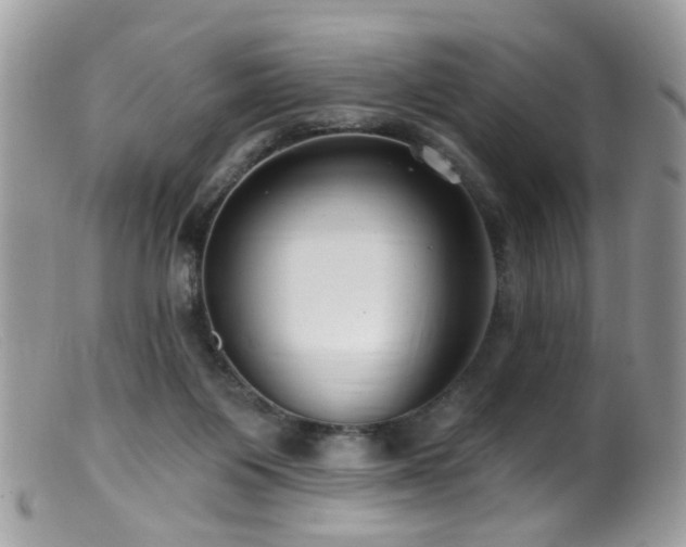 X0000099520119200805151535