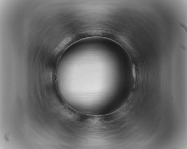 X0000099520120200805151535