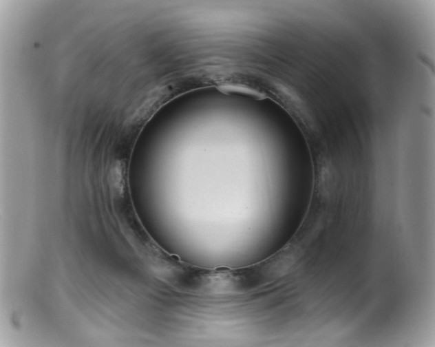 X0000099520121200805151535