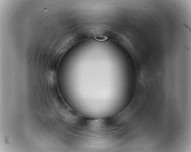 X0000099520122200805151535