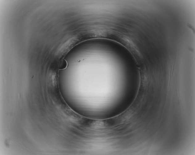 X0000099520123200805151535
