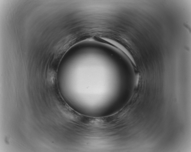 X0000099520125200805151535