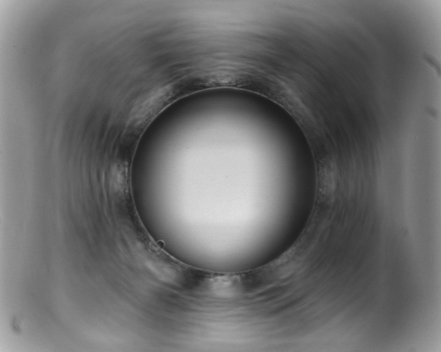 X0000099520126200805151535