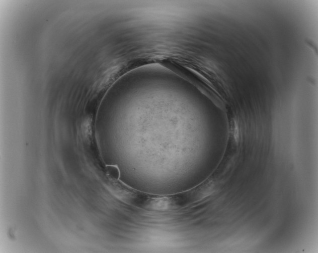 X0000099520127200805151535