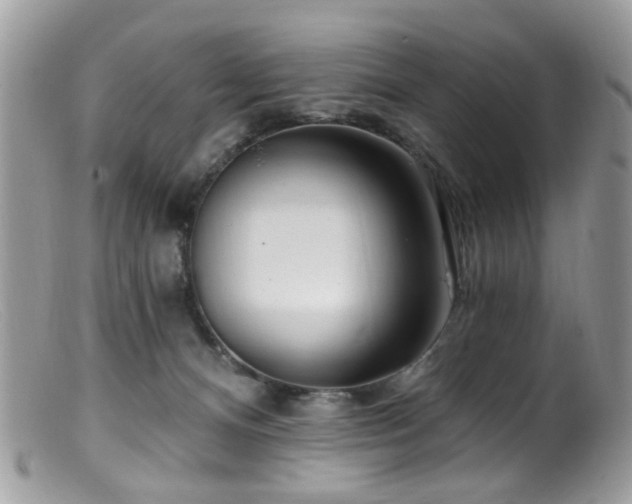 X0000099520128200805151535