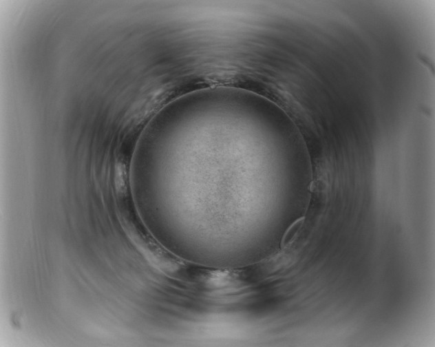 X0000099520130200805151535