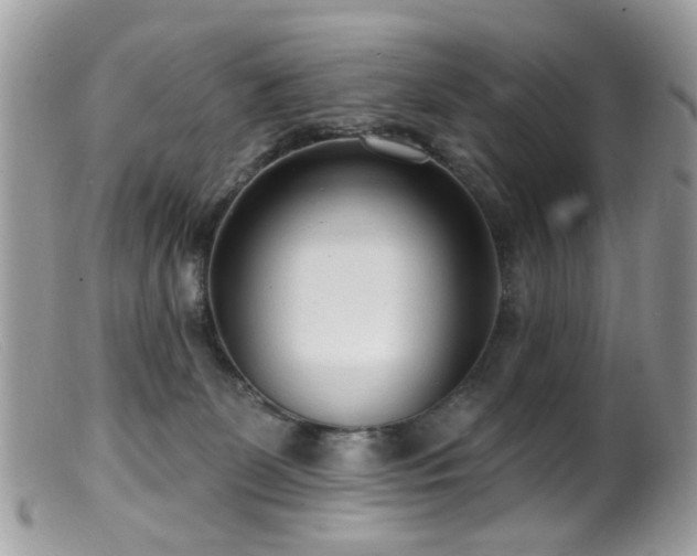X0000099520131200805151535