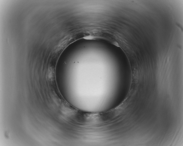 X0000099520132200805151535