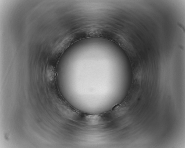 X0000099520133200805151534