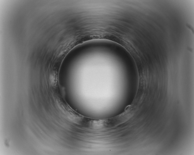 X0000099520134200805151534