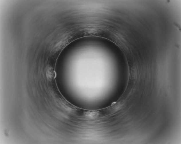 X0000099520135200805151534