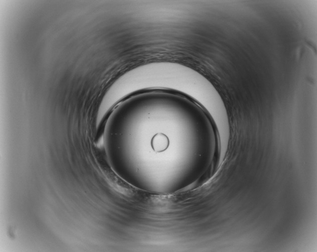 X0000099520136200805151534