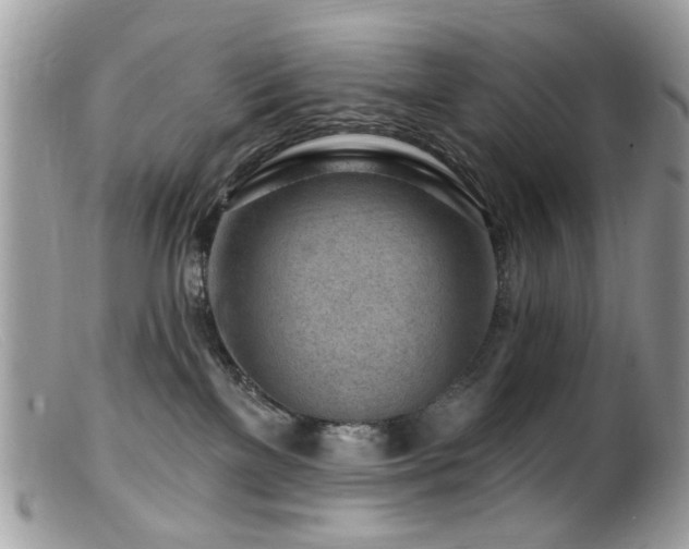 X0000099520137200805151534