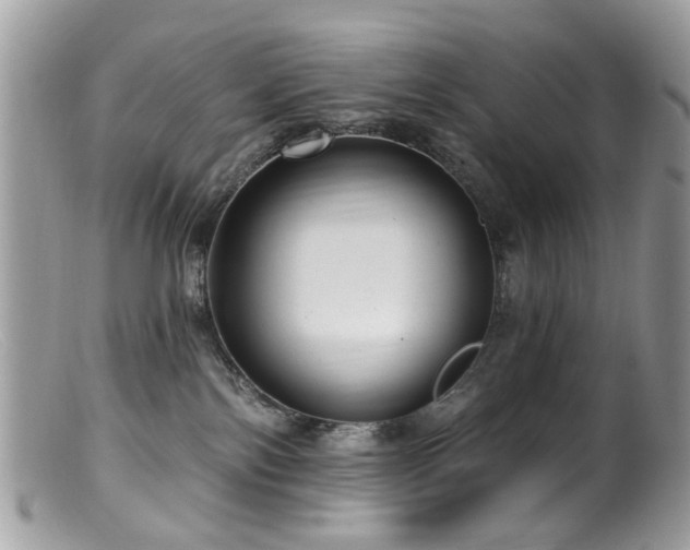 X0000099520138200805151534