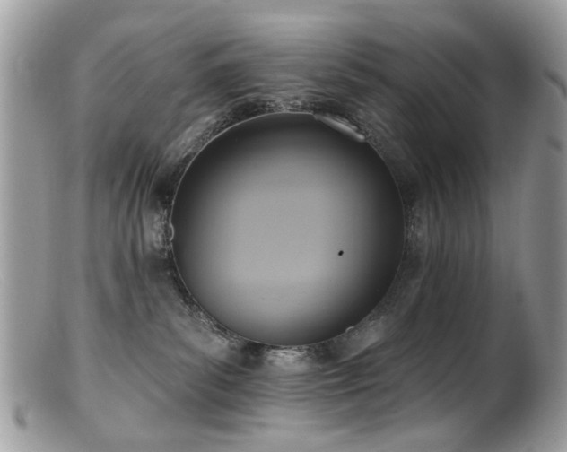 X0000099520139200805151534