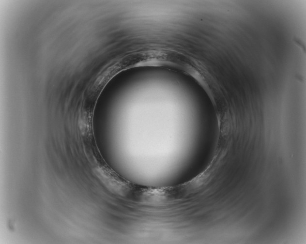 X0000099520140200805151534