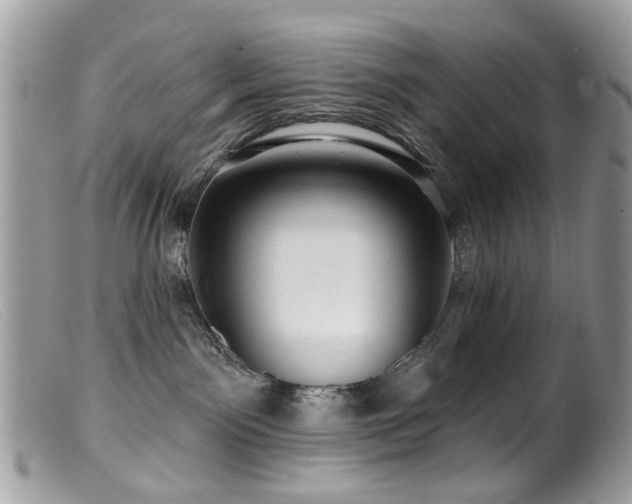 X0000099520141200805151534