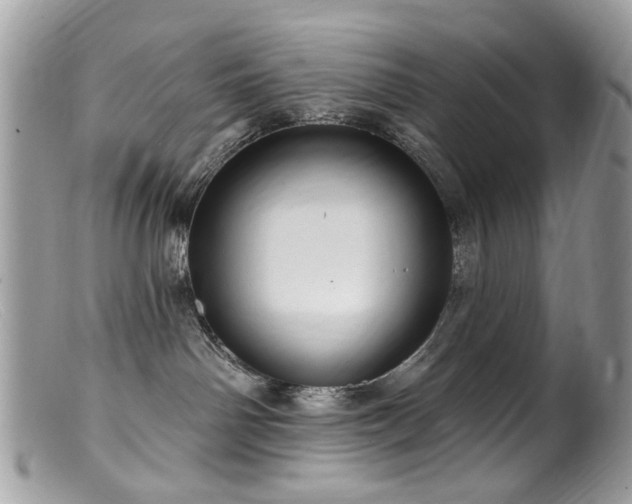 X0000099520142200805151534