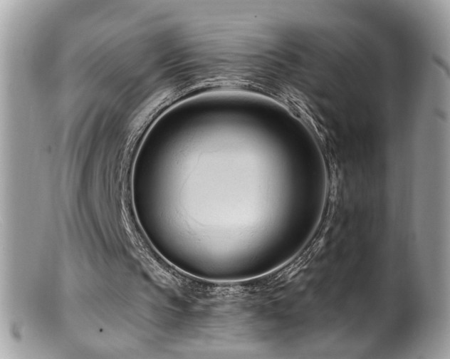 X0000099520145200805151534
