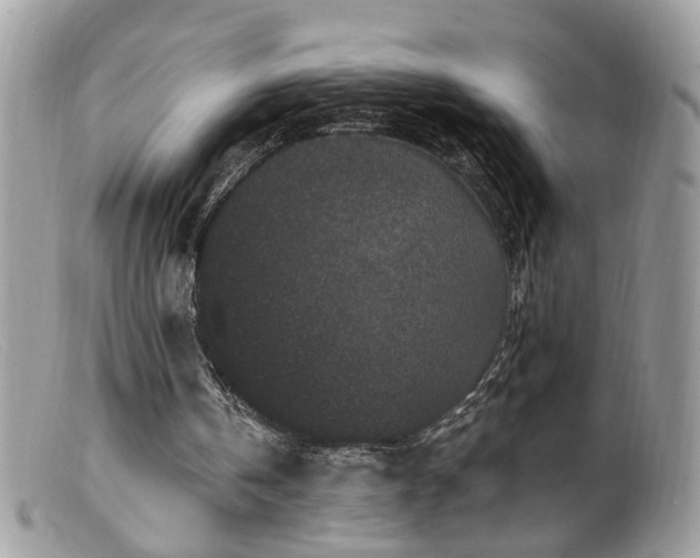 X0000099520146200805151534