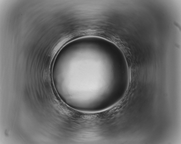 X0000099520147200805151534