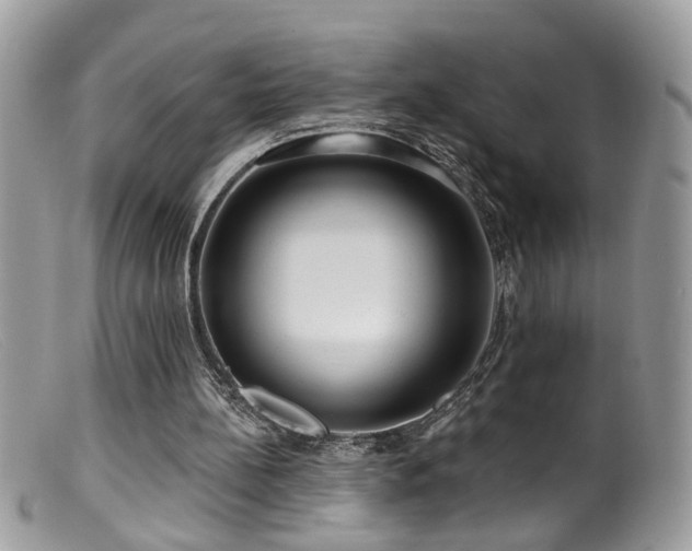 X0000099520148200805151534