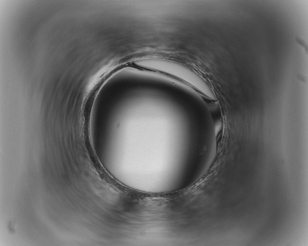 X0000099520150200805151534