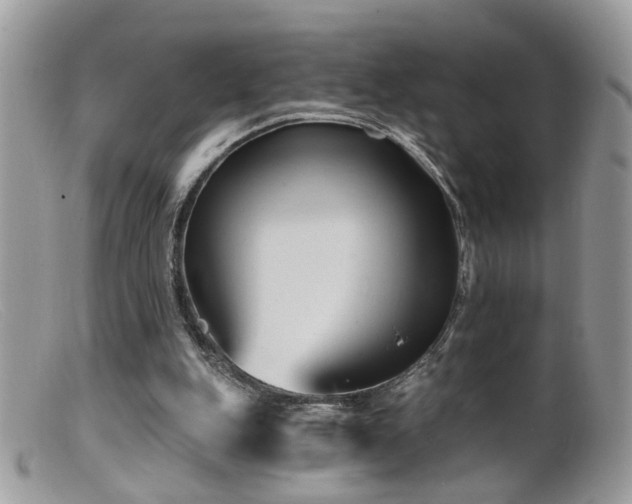 X0000099520151200805151534