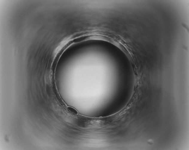 X0000099520152200805151534