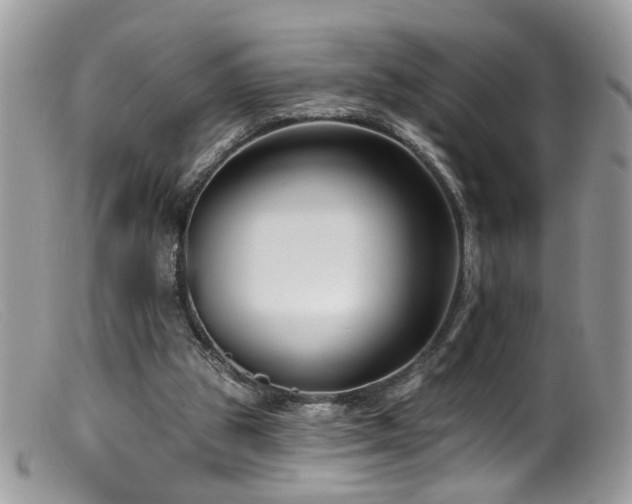 X0000099520153200805151534