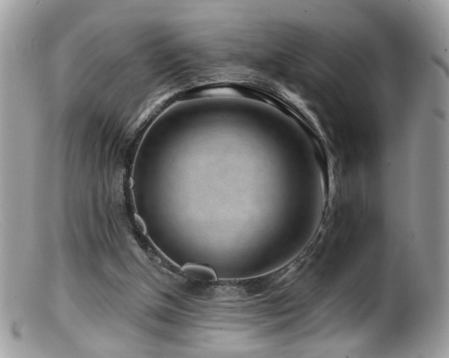 X0000099520154200805151534