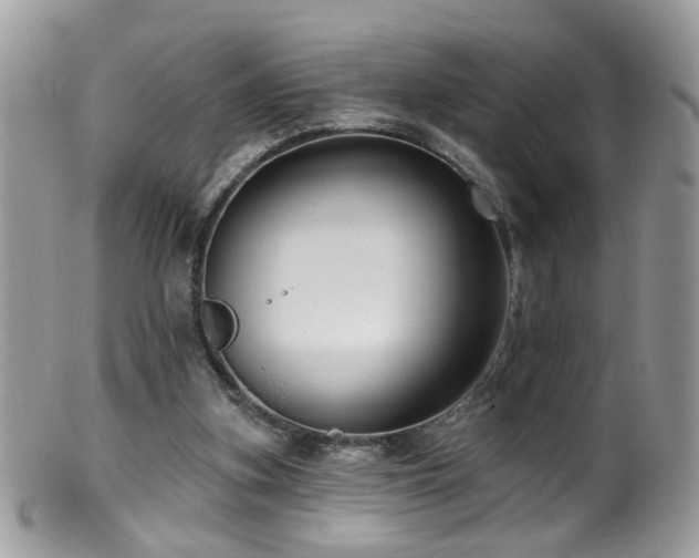 X0000099520155200805151534
