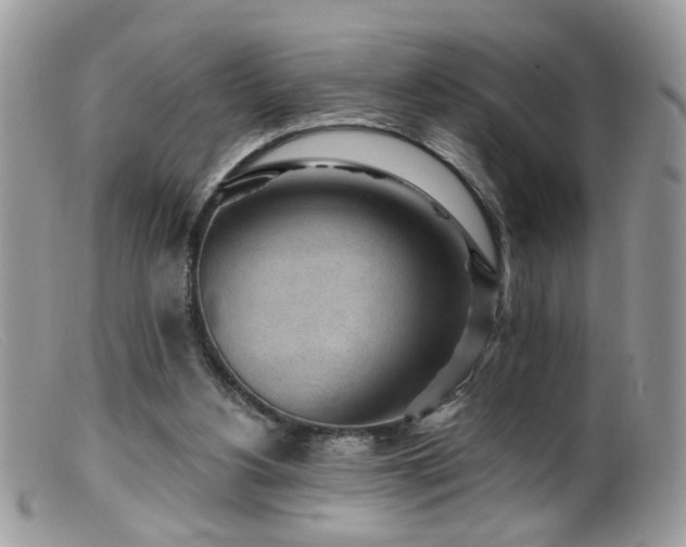 X0000099520156200805151534