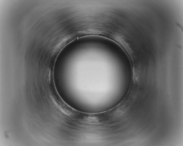 X0000099520157200805151534