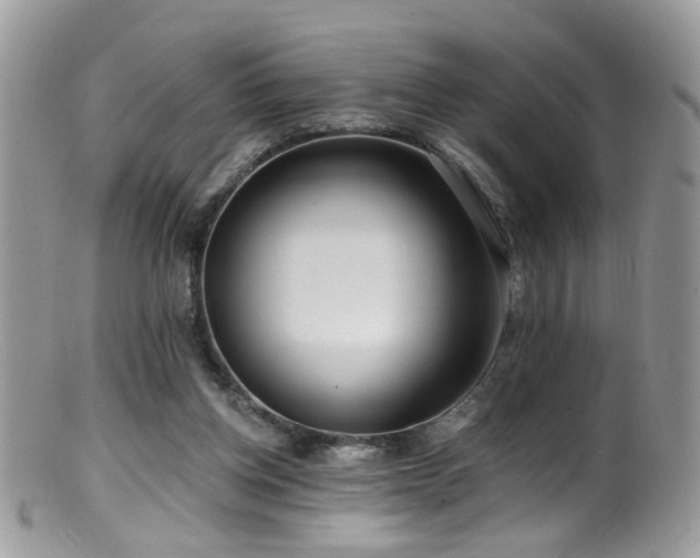 X0000099520158200805151534